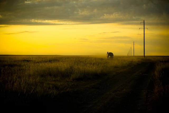 Les nomades mongols — photographie 6 de Pedro Ribeiro