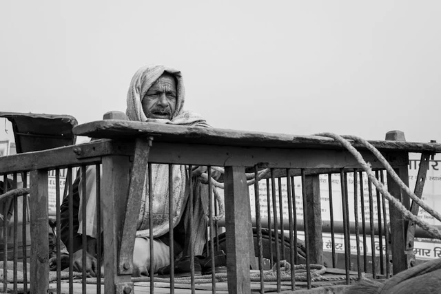 India — photographie 10 de Pedro Ribeiro
