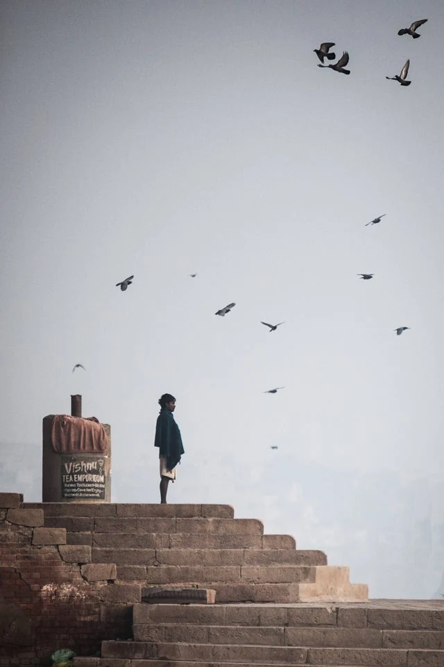 India — photographie 17 de Pedro Ribeiro