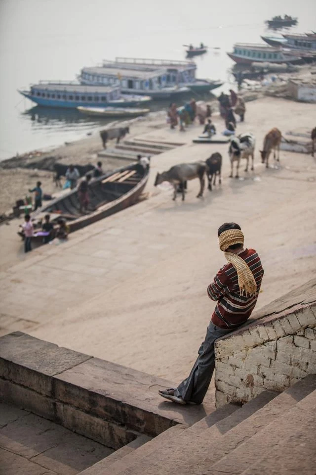 India — photographie 11 de Pedro Ribeiro